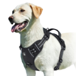 Adjustable No-Pull Dog Harness – Soft Padded Vest with Handle - Image 3